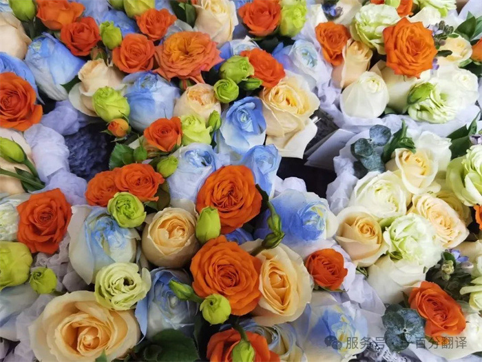 致語(yǔ)言的造夢(mèng)者 —— 一百分翻譯向女神們致敬